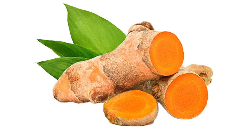 TURMERIC