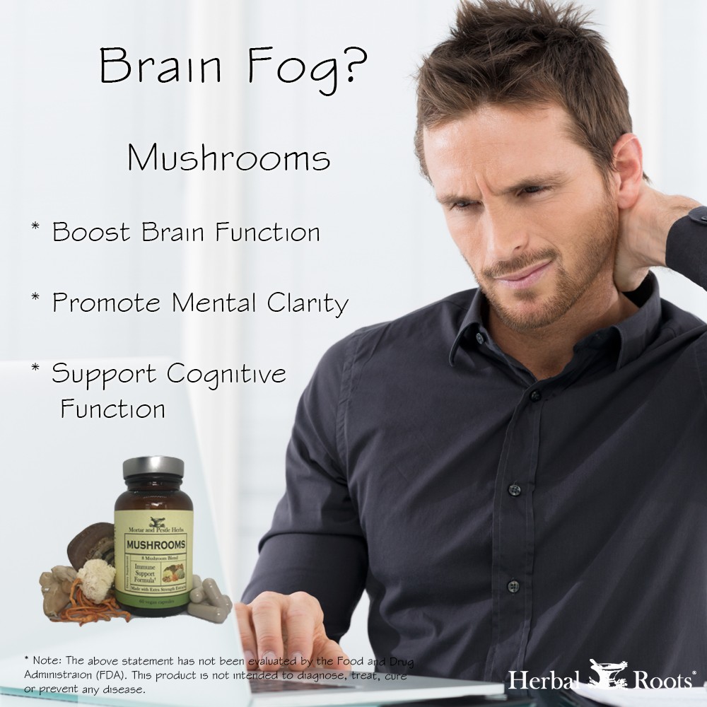 photo os a man with a confused look on his face and rubbing the back of his neck. The text on the image says Brain Fog? mushrooms boost brain function, promote mental clarity and support cognitive function. There is a small picture of the herbal roots mushrooms bottle.
