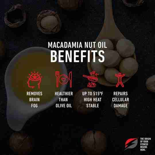 Macadamia Nut Oil Benefits Strength Genesis