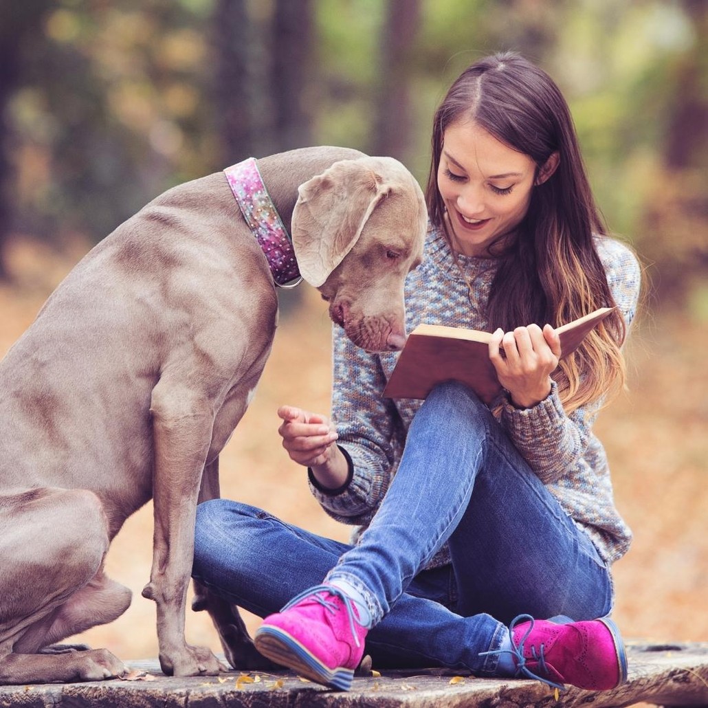 Brown dog looking at a book held by a lady
