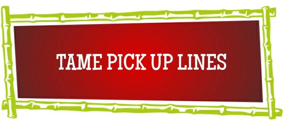 Tame Pick Up Lines