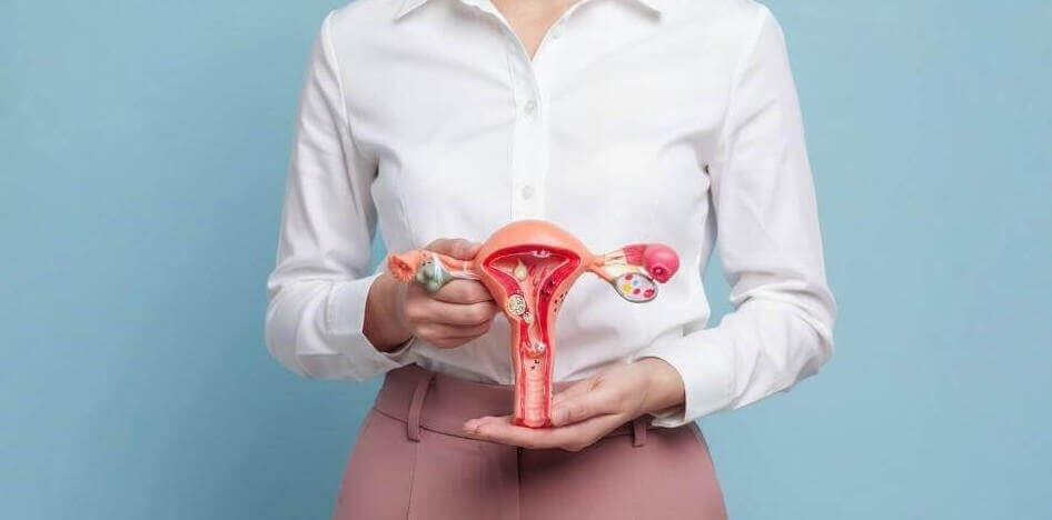 Utérus antéversé : position, symptômes et traitement