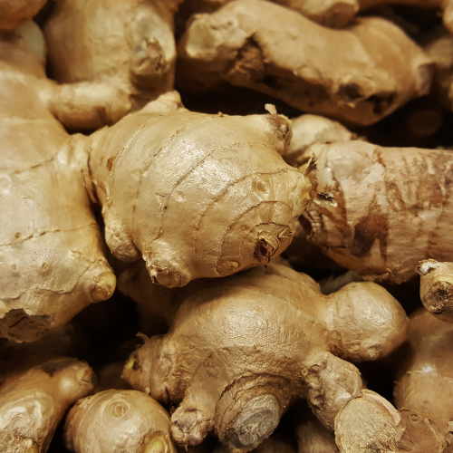 Warming ginger root used in Moon Haven muscle rubs