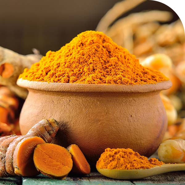 TURMERIC - Mobile