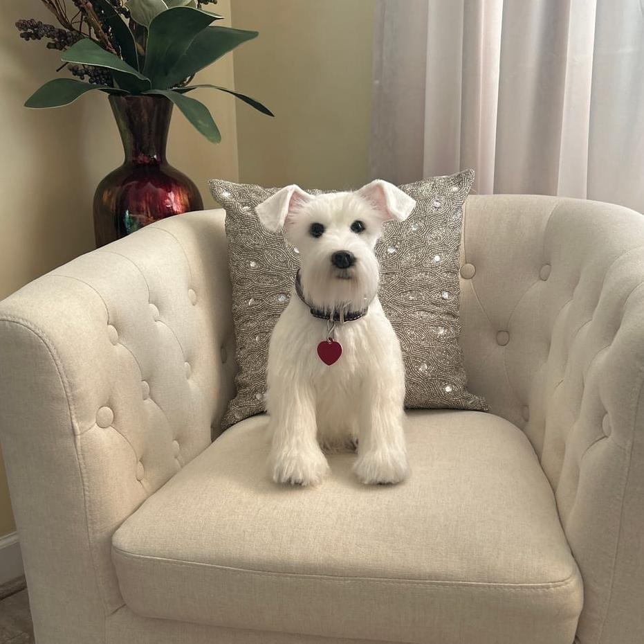 CUSTOM STUFFED ANIMAL PLUSH AS A MEMORIAL GIFT
