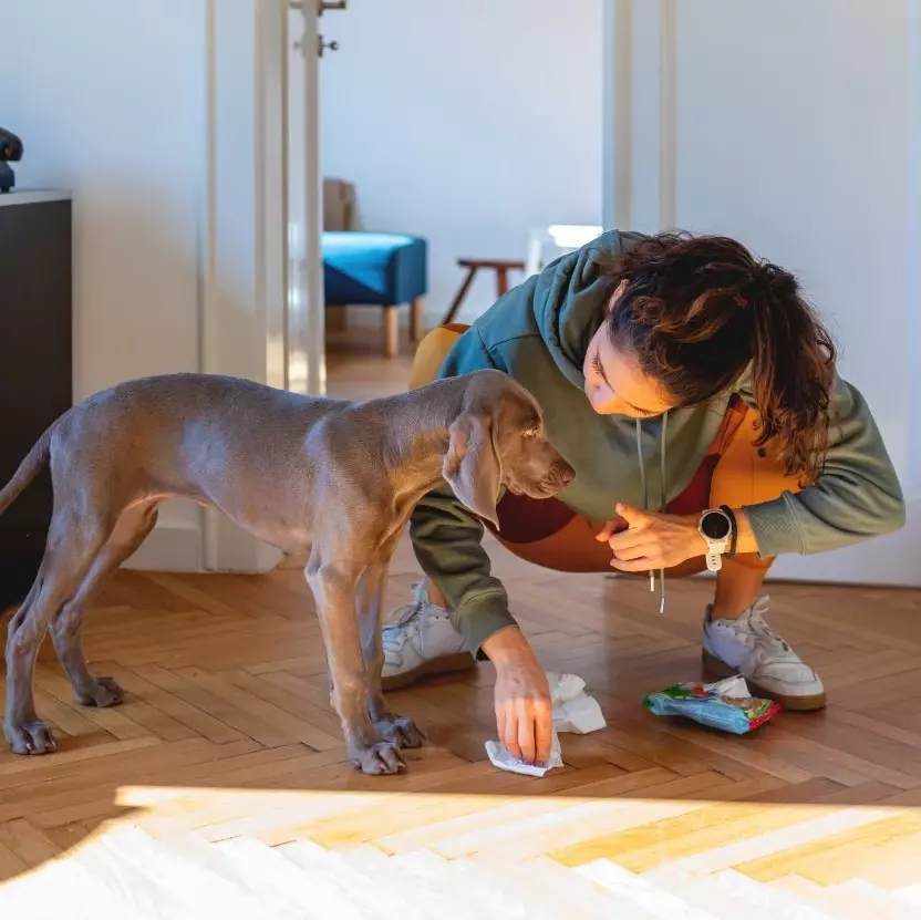 A woman cleaning the floor, with a puppy standing next to her