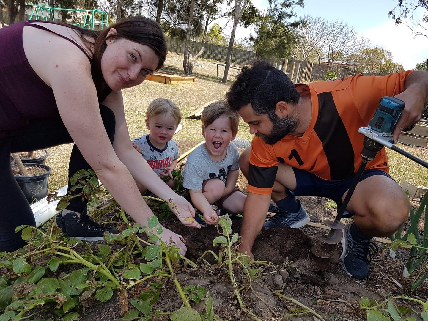Family harvesting potatoes together in a backyard garden using a drill auger.