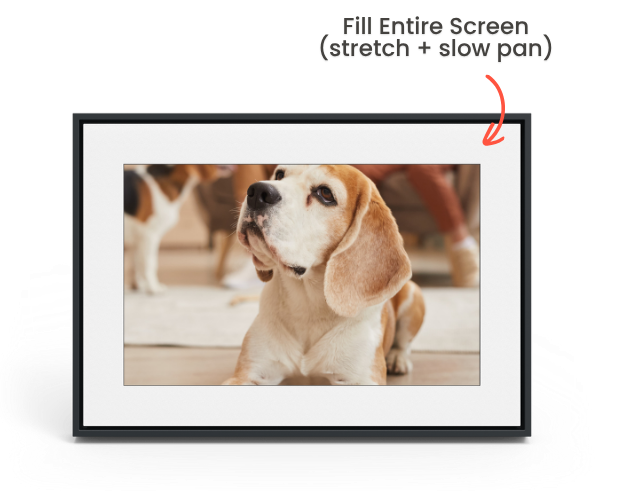 Image showing the three ways portrait photos can be displayed