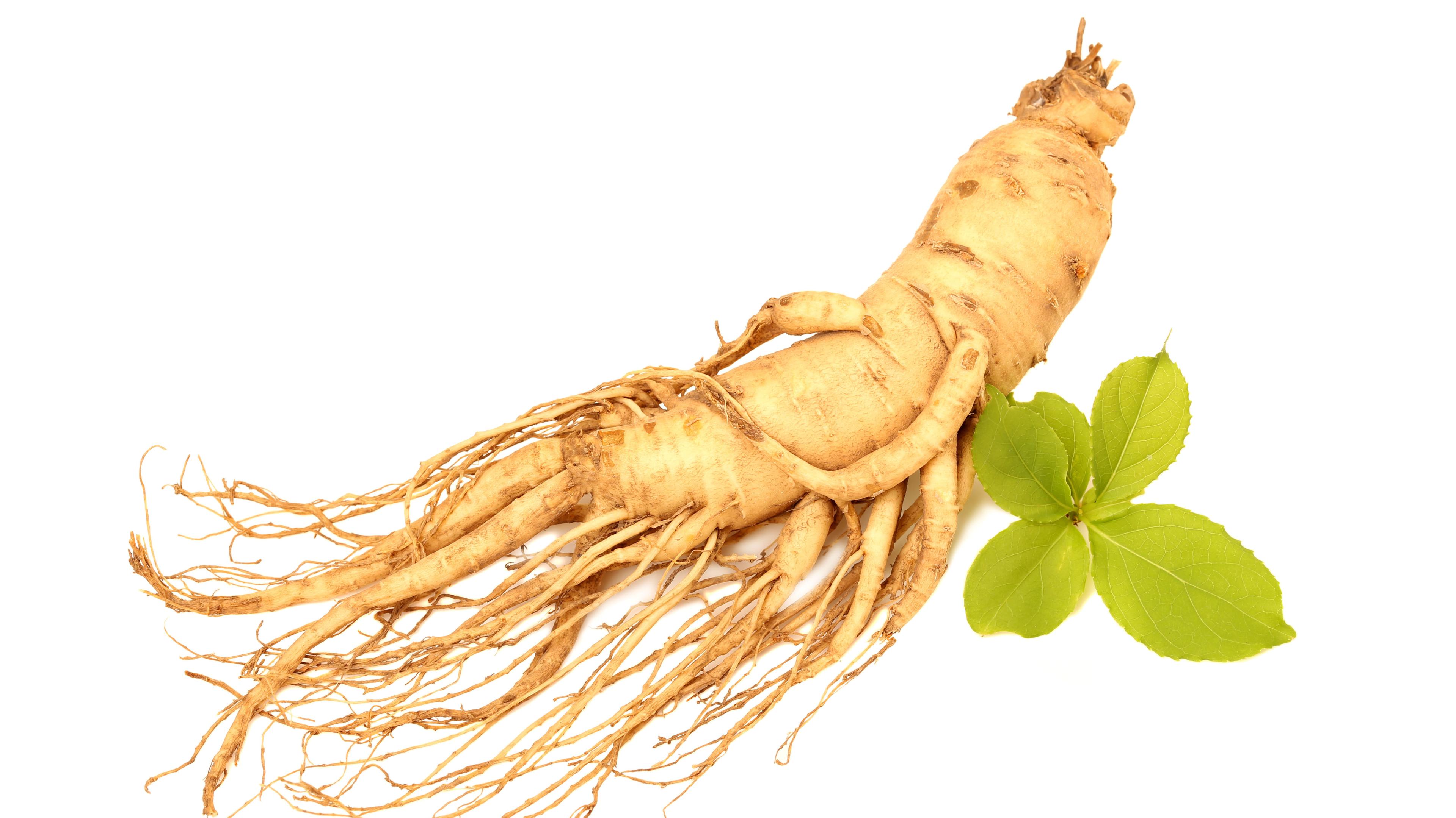 An image of a long, light brown, ginseng root next to small green leaves on a white background .