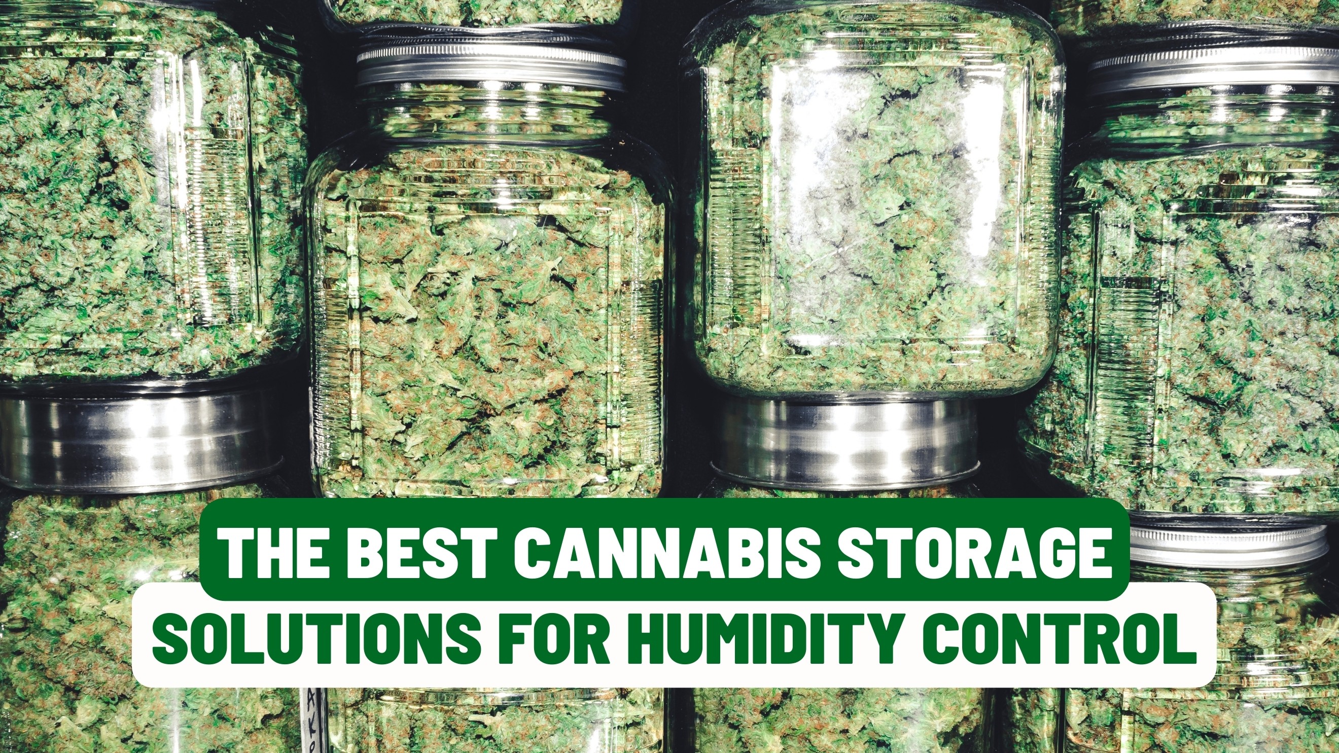 The Best Cannabis Storage Solutions for Humidity Control
