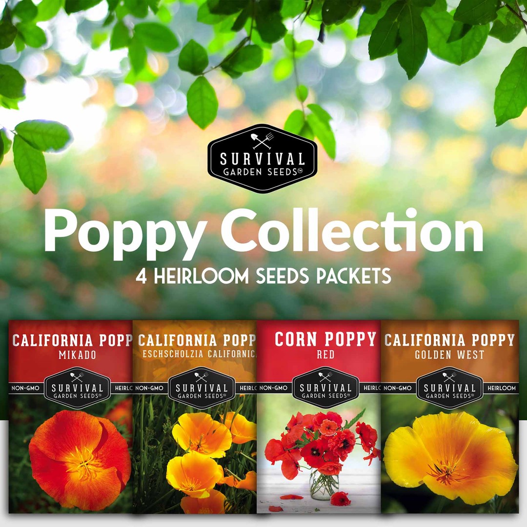 4 Pack - Poppy Flower Seed Collection - SurvivalGardenSeeds