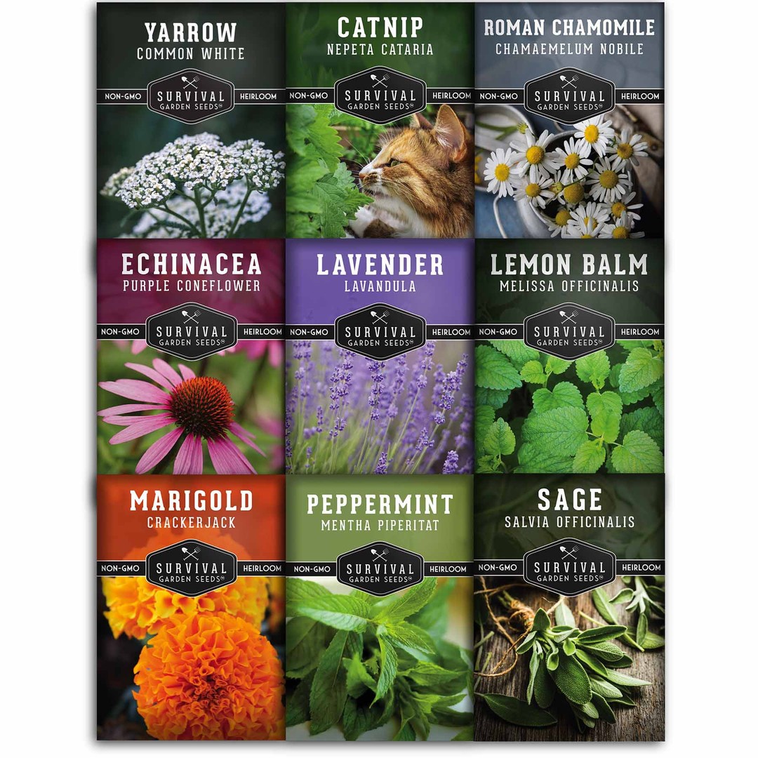 9 Packets of heirloom herb seeds to make medicinal teas