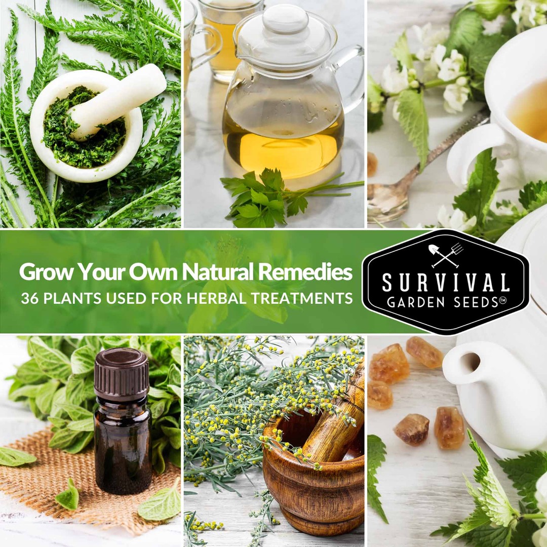 Grow your own natural remedies