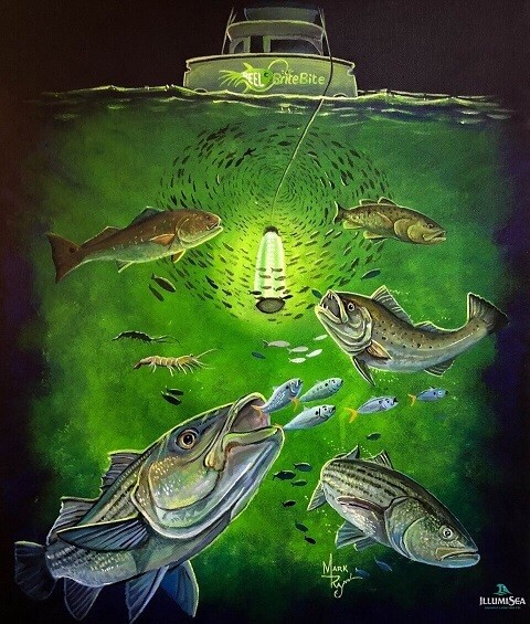 Underwater Fishing Light 4-couleur étanche 100 W veilleuse DEL Fish Light 1x 