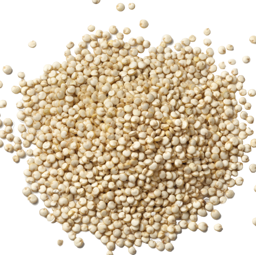 Photo shows white quinoa