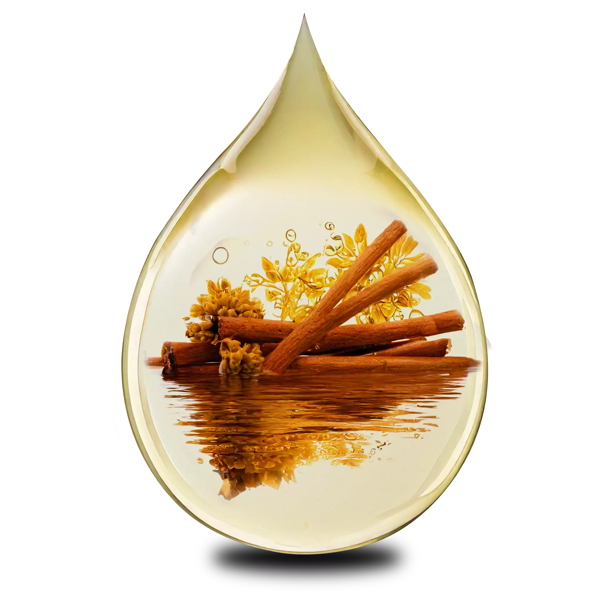 Manjistha in Blavana Ultra Light Face Oil