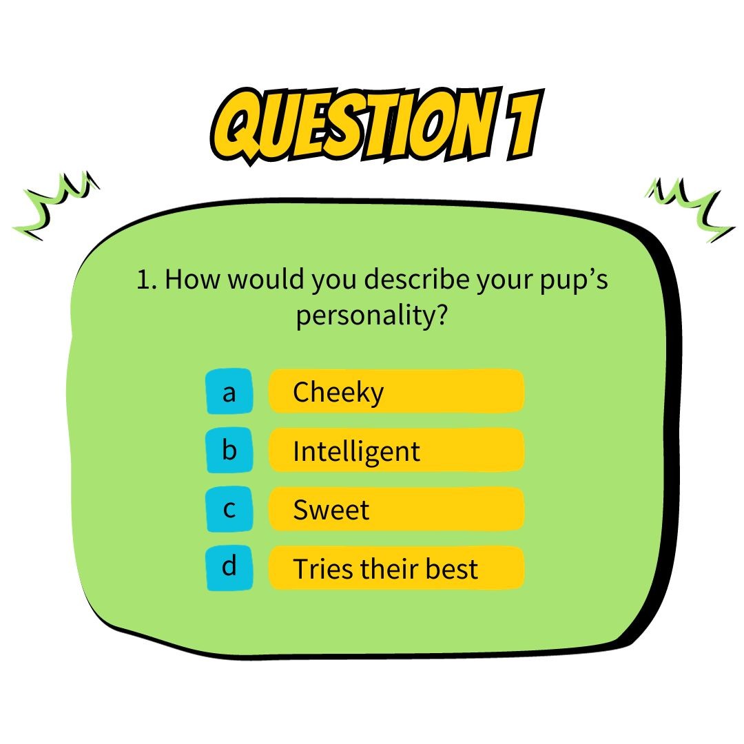 Question 1: How would you describe your pup's personality?