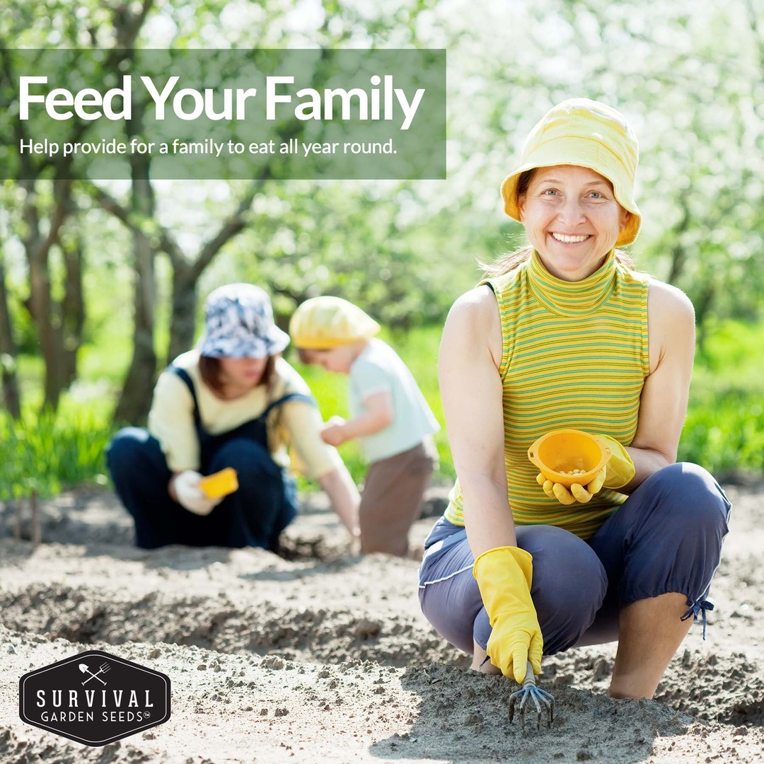 Feed your family by growing a garden