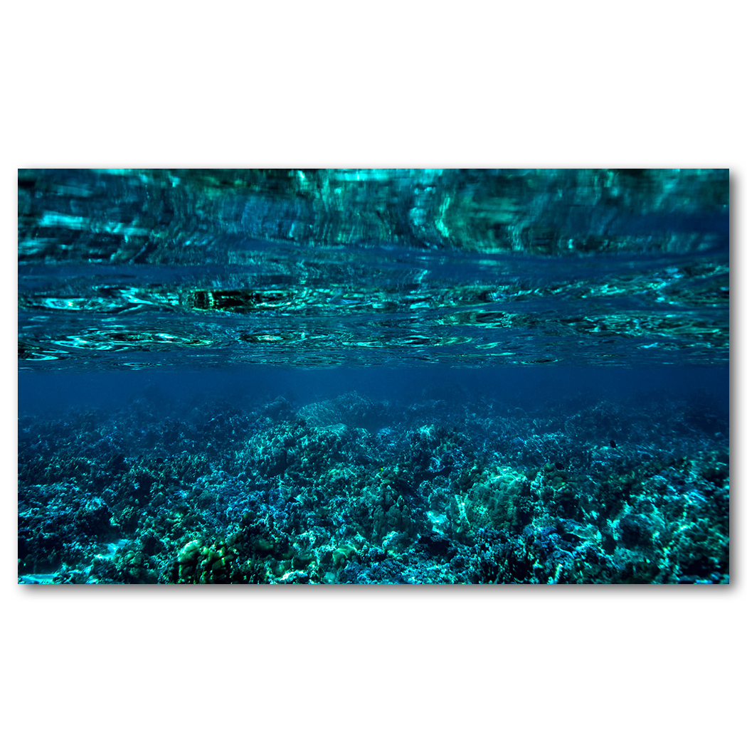 Reef Reflection
