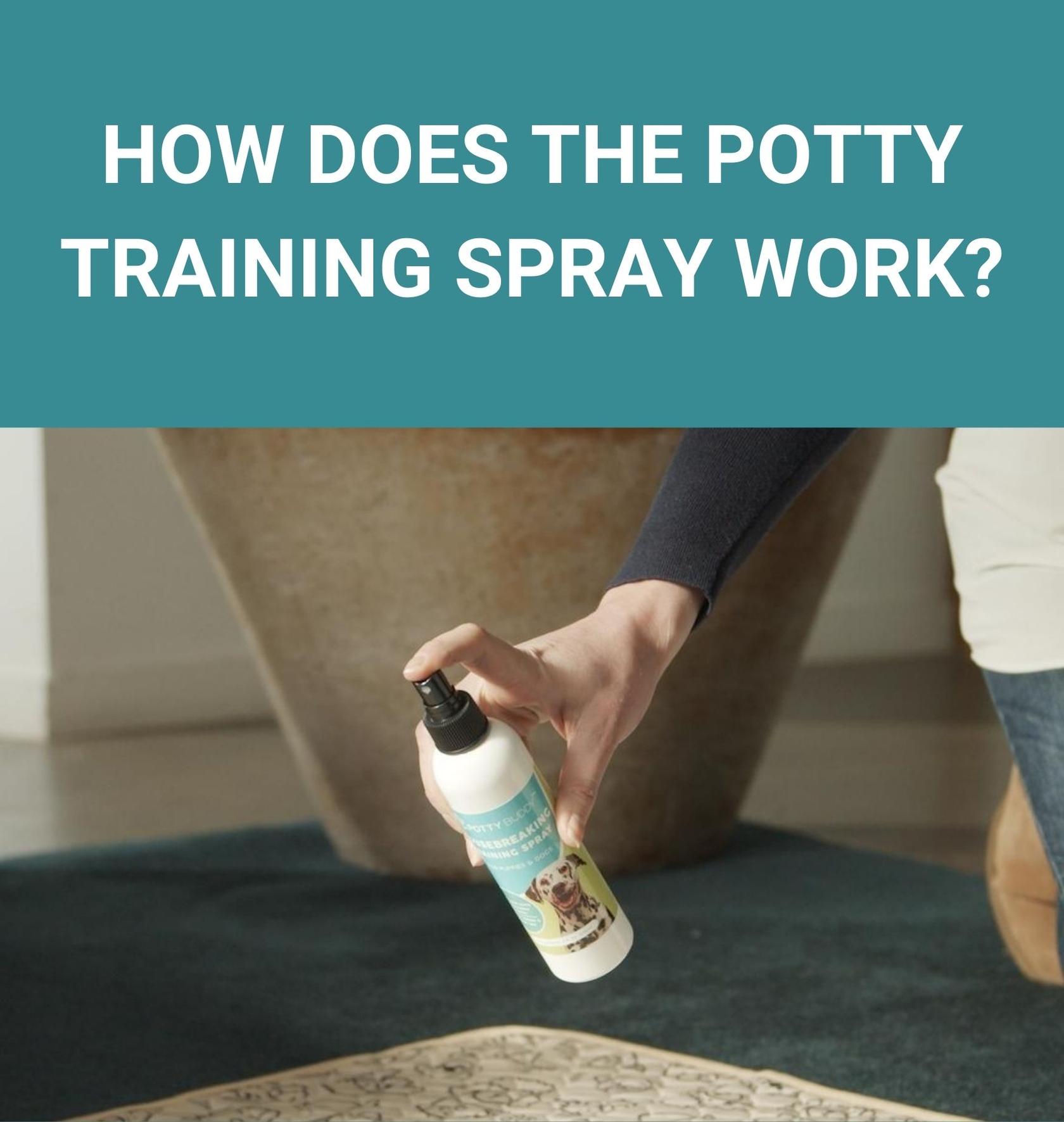 How Does The Potty Training Spray Work? Potty Buddy™