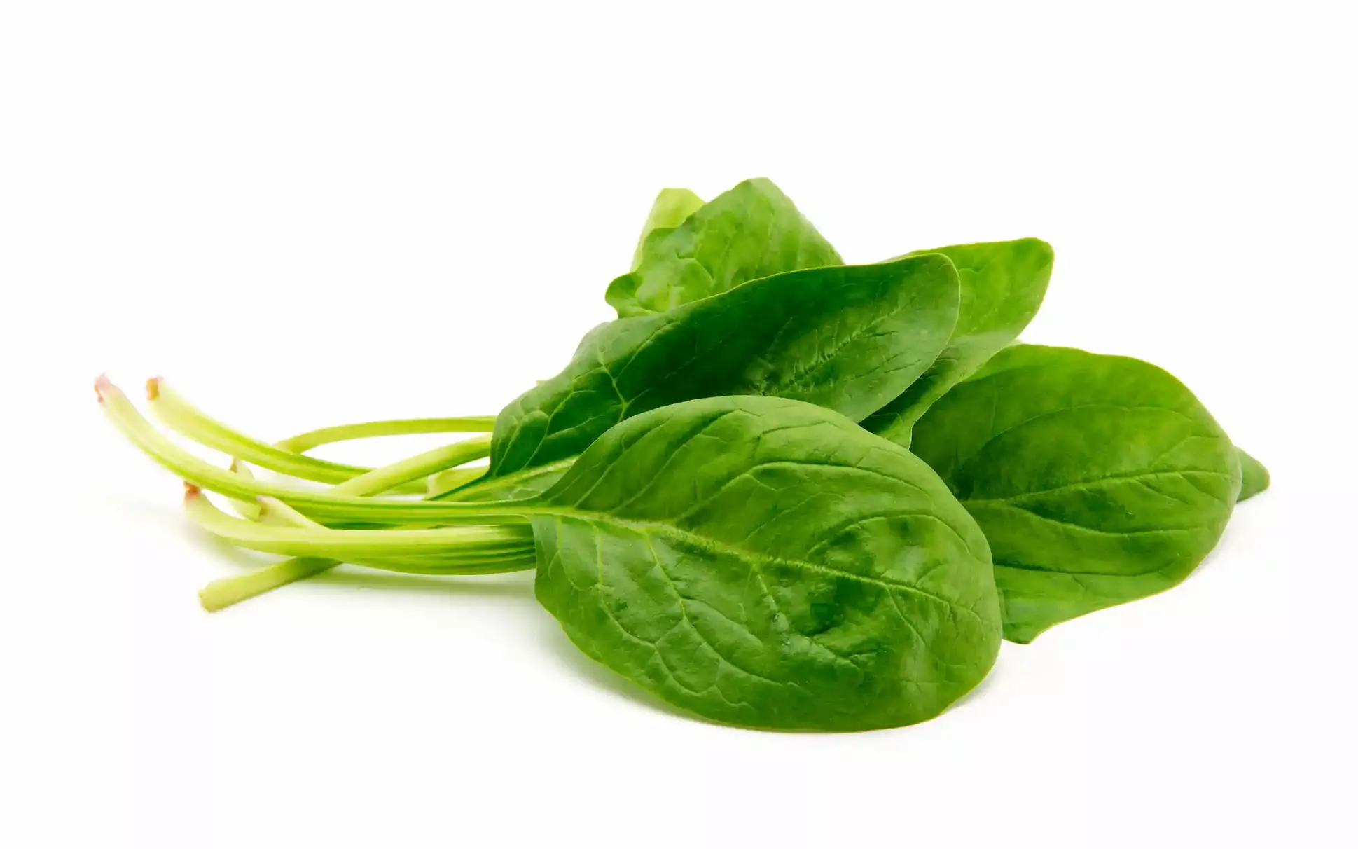 Spinach leaves