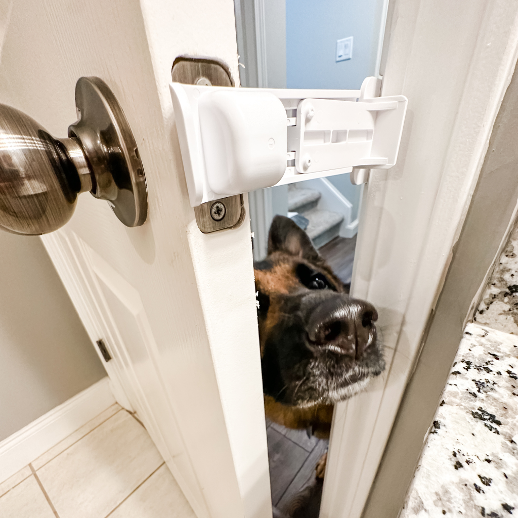 A dog tries to push through a partially open door that is held in place by The Door Buddy door prop. The adjustable door prop creates a small opening that allows cats through while helping keep dogs out of the room.