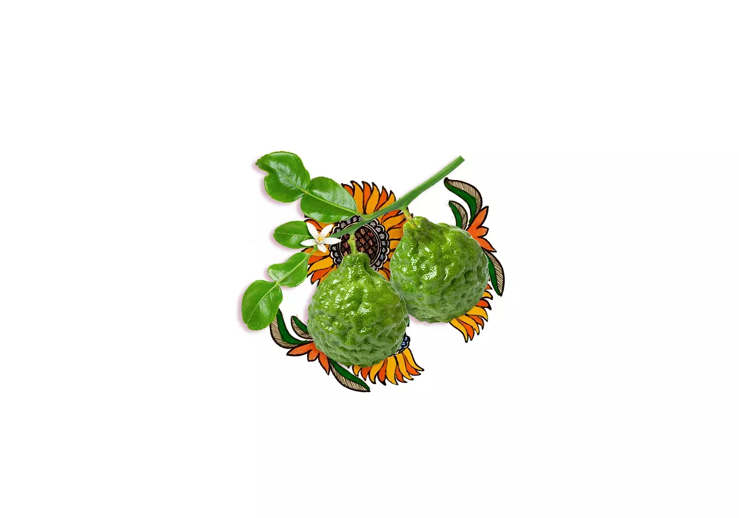Bergamot Fruit in a bowl