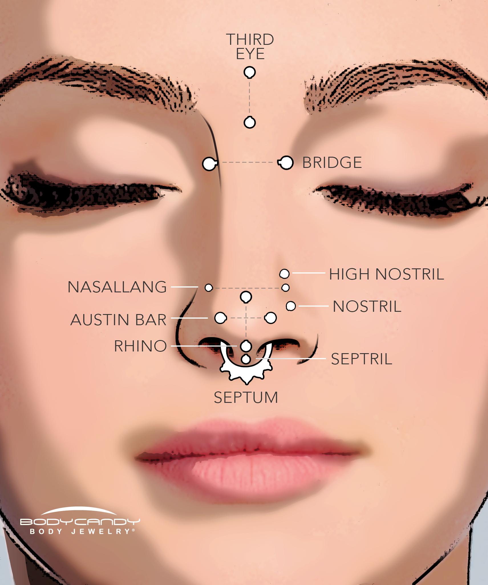 Types Of Nose Piercings Chart