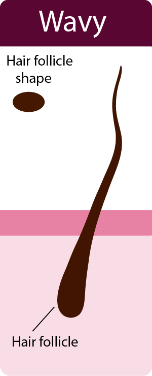 Wavy hair follicle