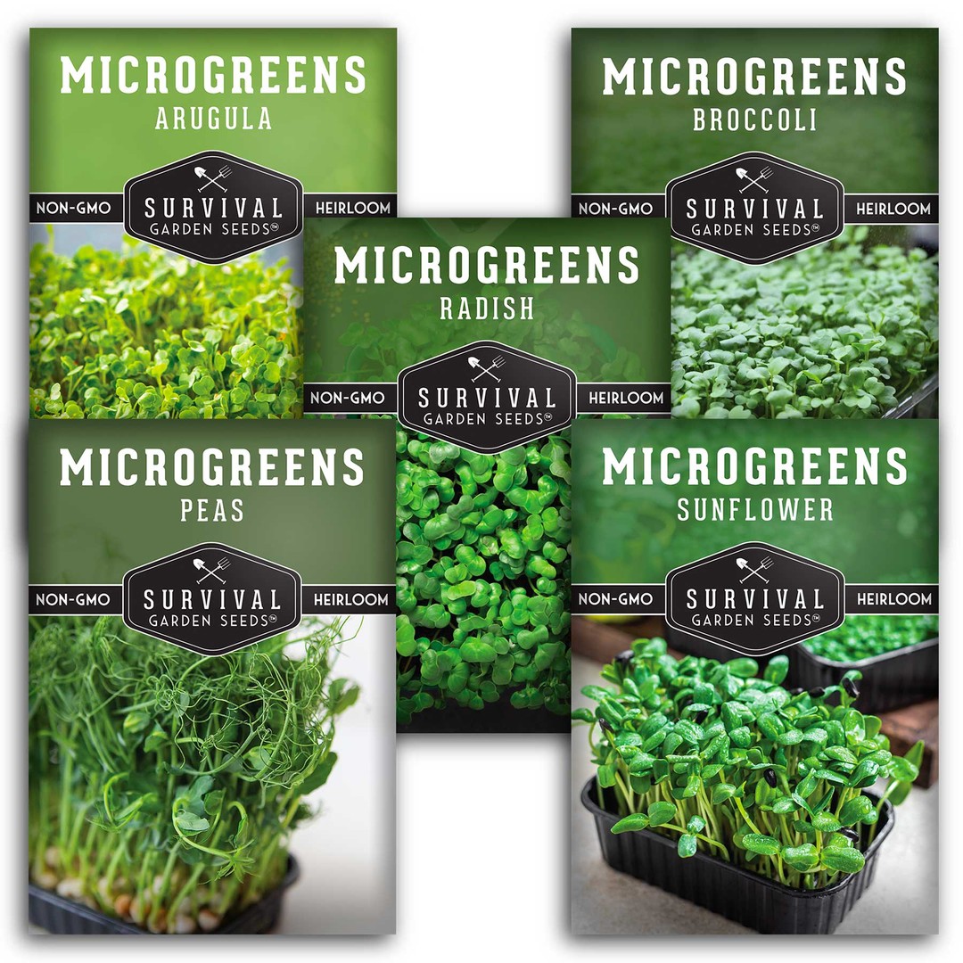 5 Packs of Microgreens Seeds for Sprouting