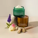 Mini Smooth-Sorbet and Mini Cerabuild