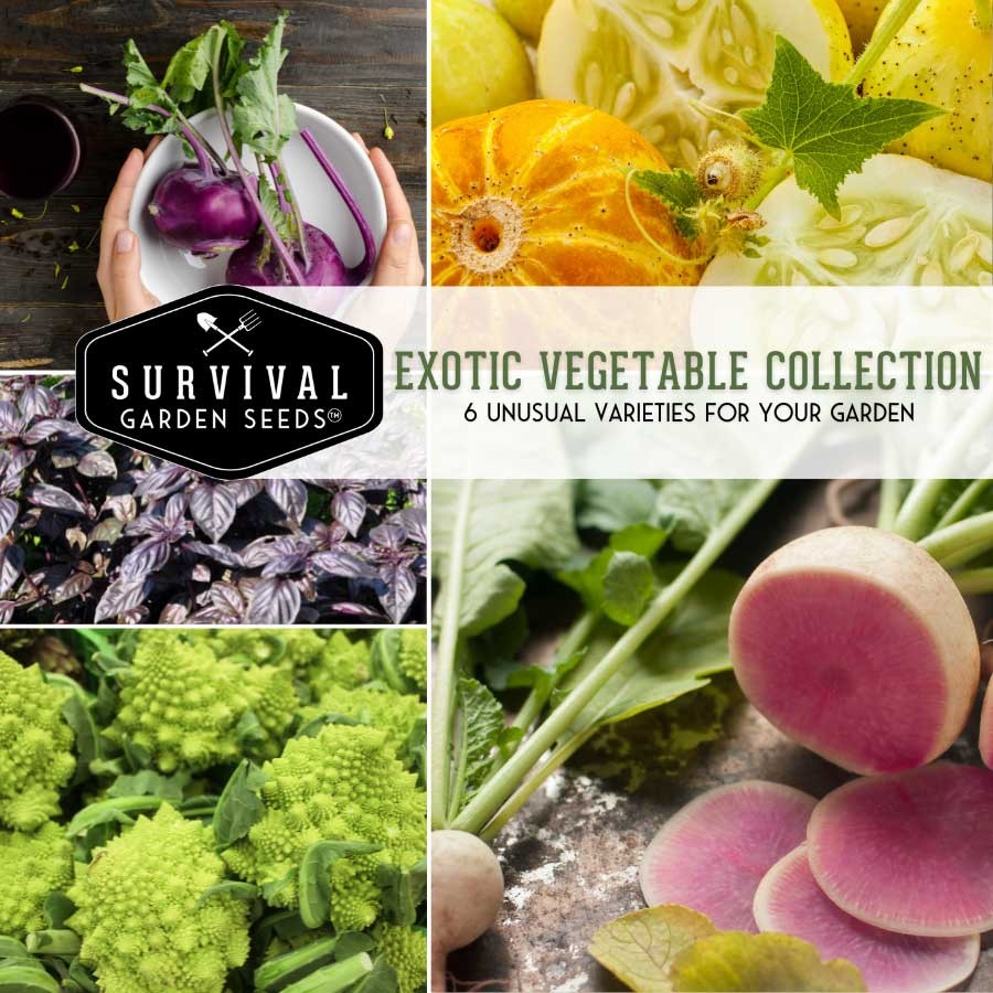 Exotic Vegetable Collection - 6 unusual varieties for your garden