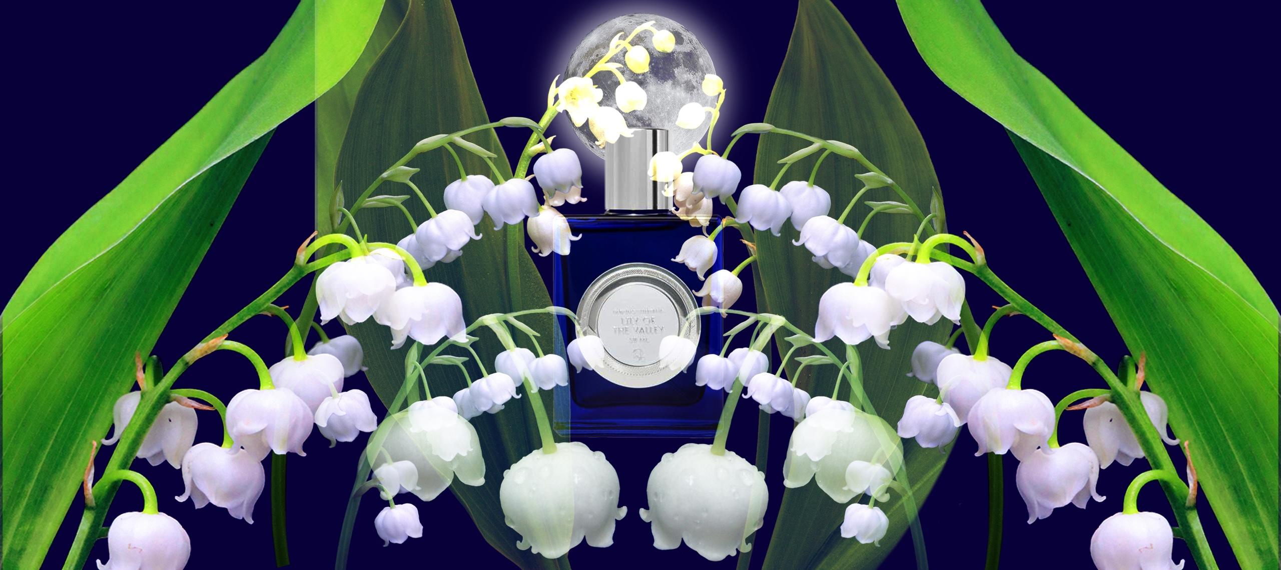 Lily of the Valley by QUARTANA