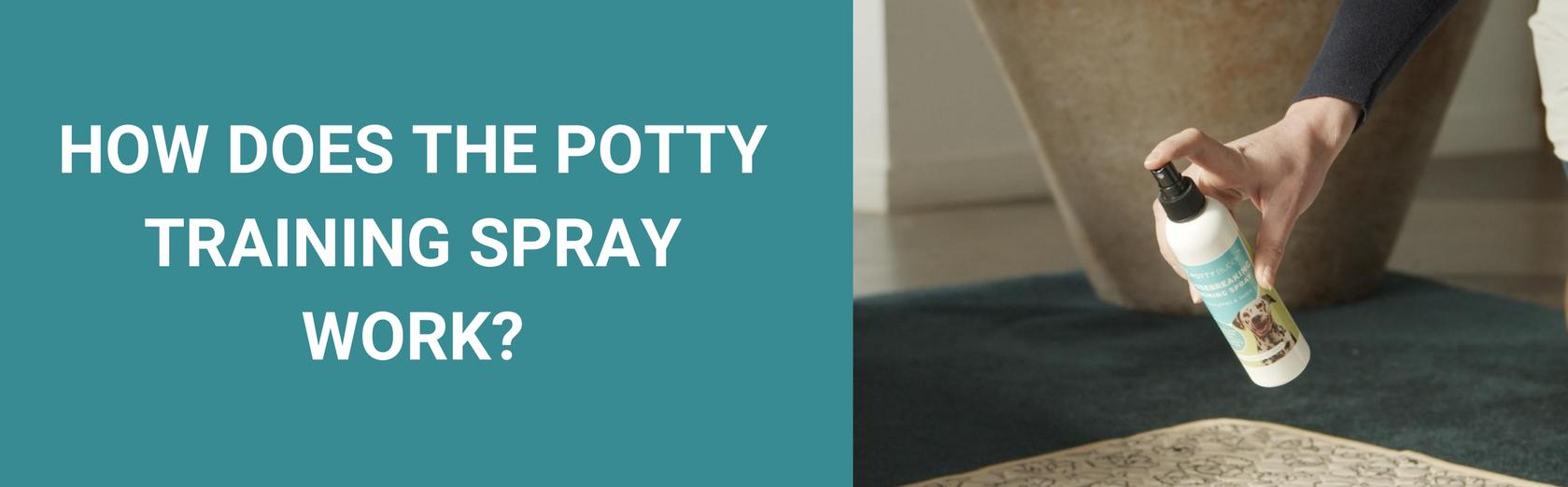 How Does The Potty Training Spray Work? Potty Buddy™