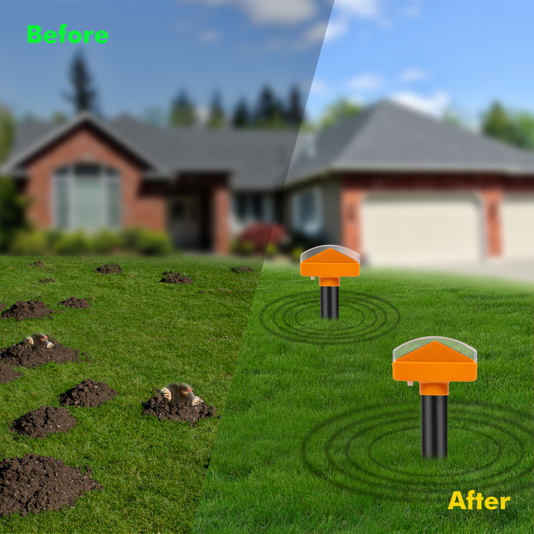 1 Solar-Powered Mole, Vole, Gopher & Groundhog Repellent - Ultrasonic Stake  Gets Rid Of Burrowing Animals From Lawn, Garden & Yard In 2 Weeks |  HomeShielders