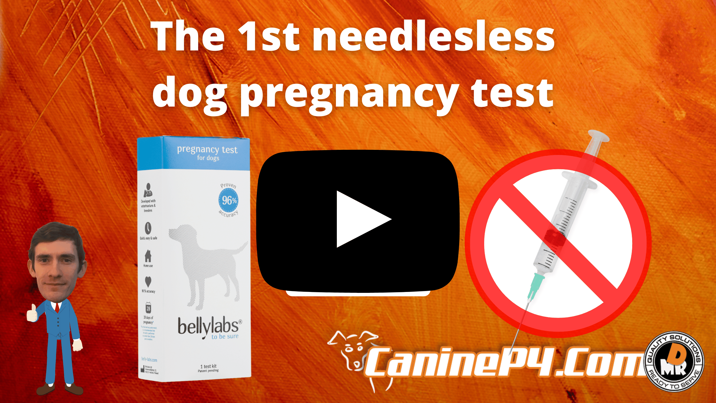 dog-pregnancy-test