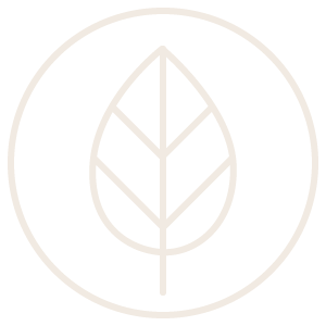 Minimalist leaf icon representing natural content.