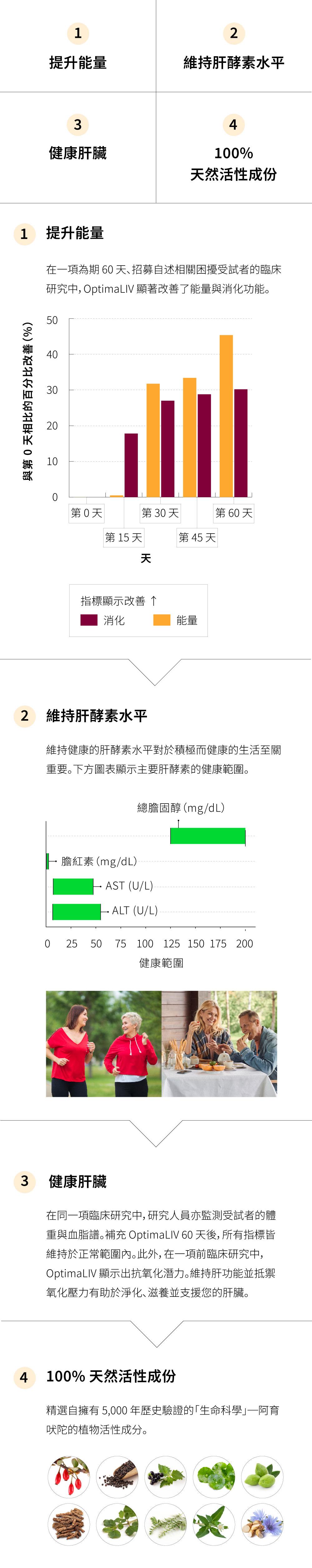OptimaLIV 提升能量、有助於維持健康的肝酵素水平、支持最佳肝功能,並含有 100% 天然活性成分。