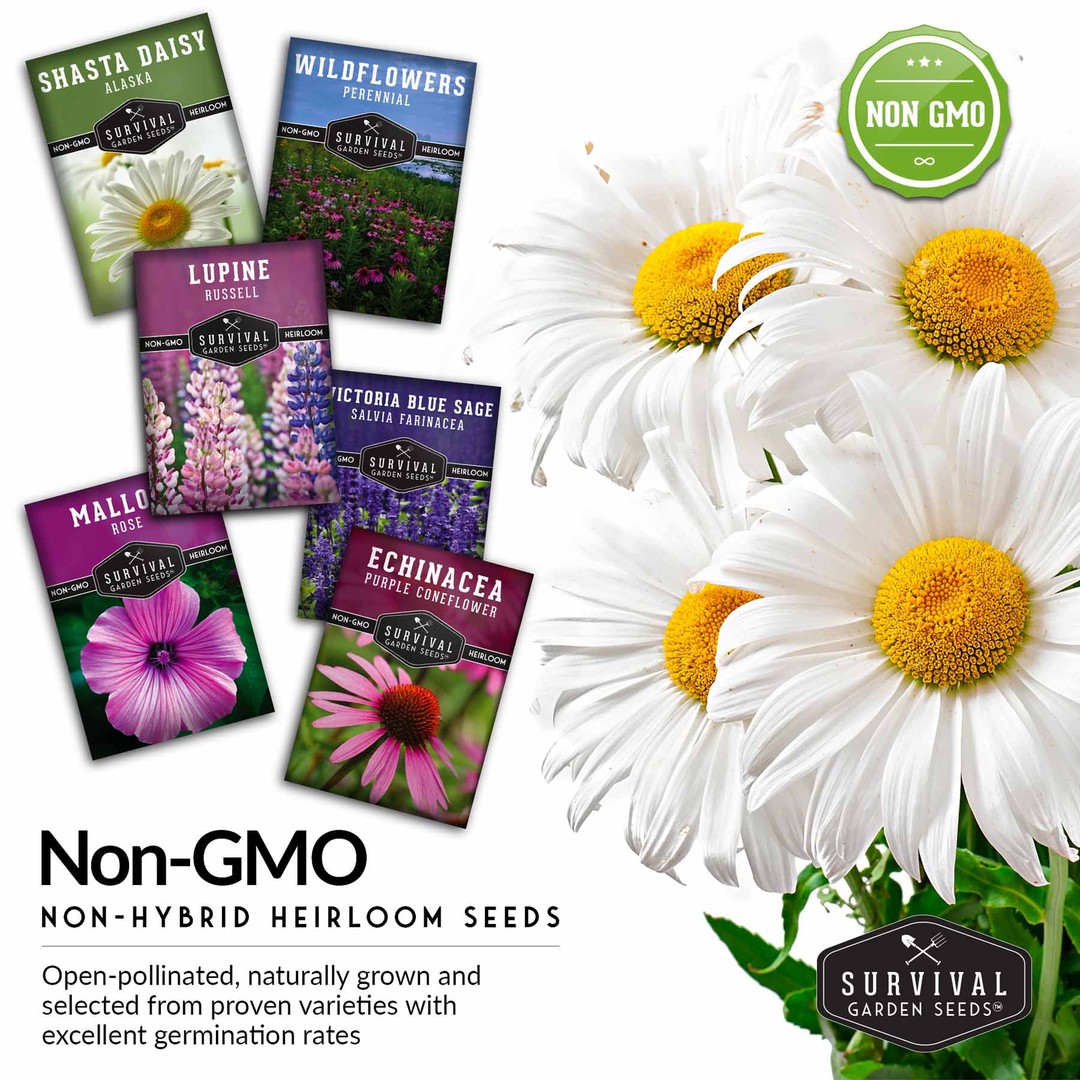 Non-gmo, non-hybrid heirloom flower seeds