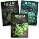 3 packets of heirloom broccoli seeds