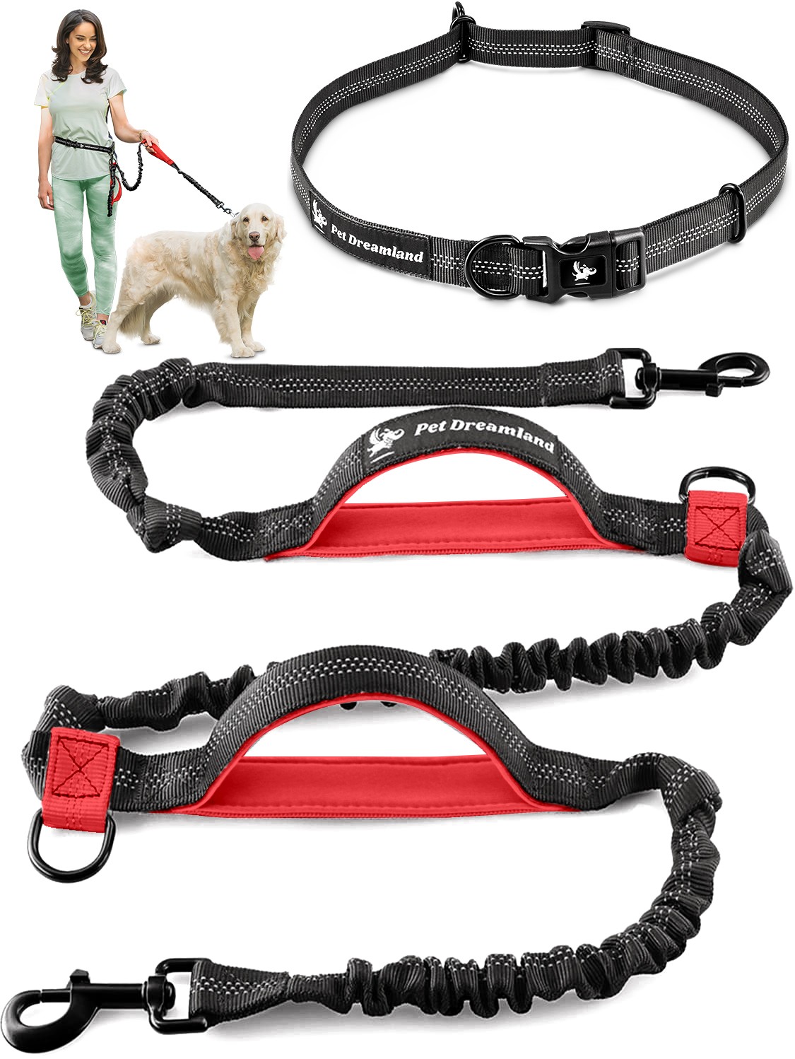 Double Dog Leash Hands Free