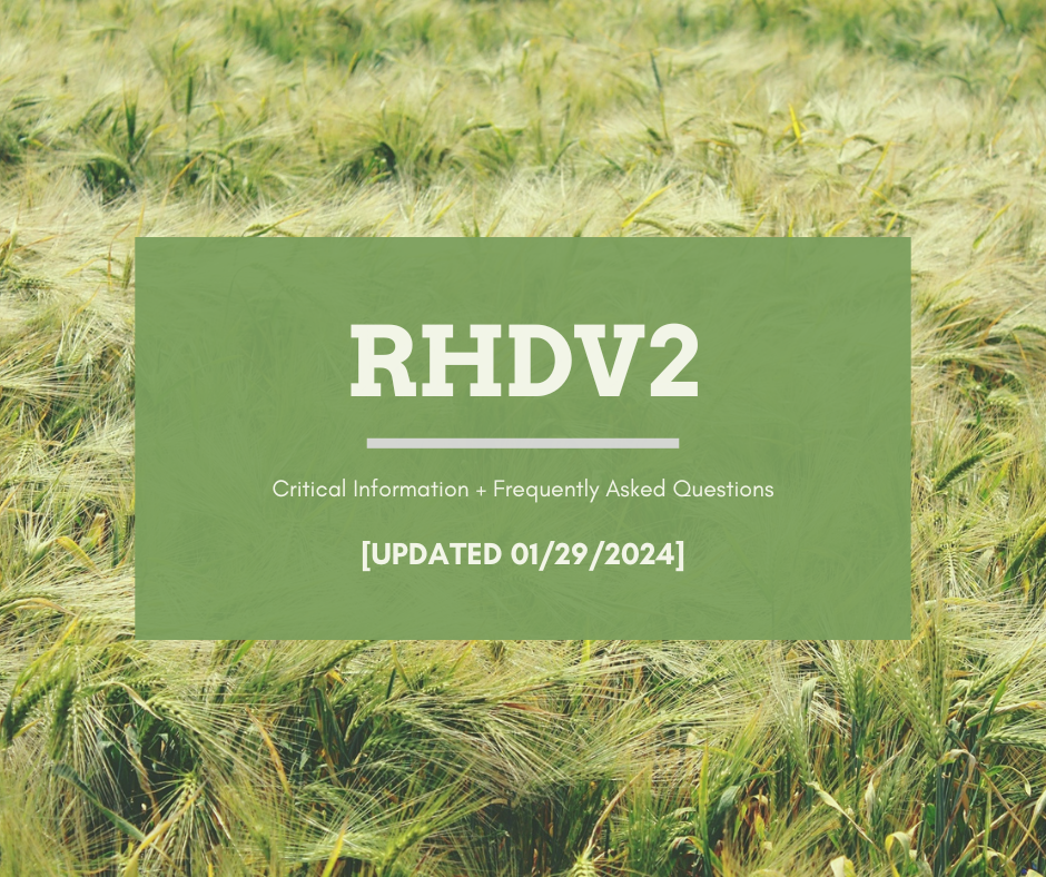 RHDV2 Update 01/29/2024