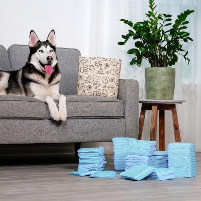 Husky dog sitting next to reusable potty pad on sofa