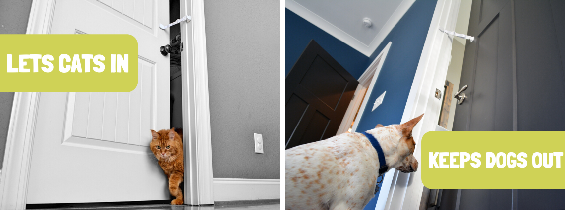 door strap for pets
