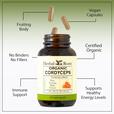 Bottle of Herbal Roots Organic Cordyceps with labeled benefits on a green background. Product benefits include fruiting body, vegan capsules, no binders, no fillers, certified organic, immune support, supports healthy energy levels.