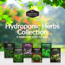 6 Packets of Heirloom Herb Seeds for your hydroponic garden