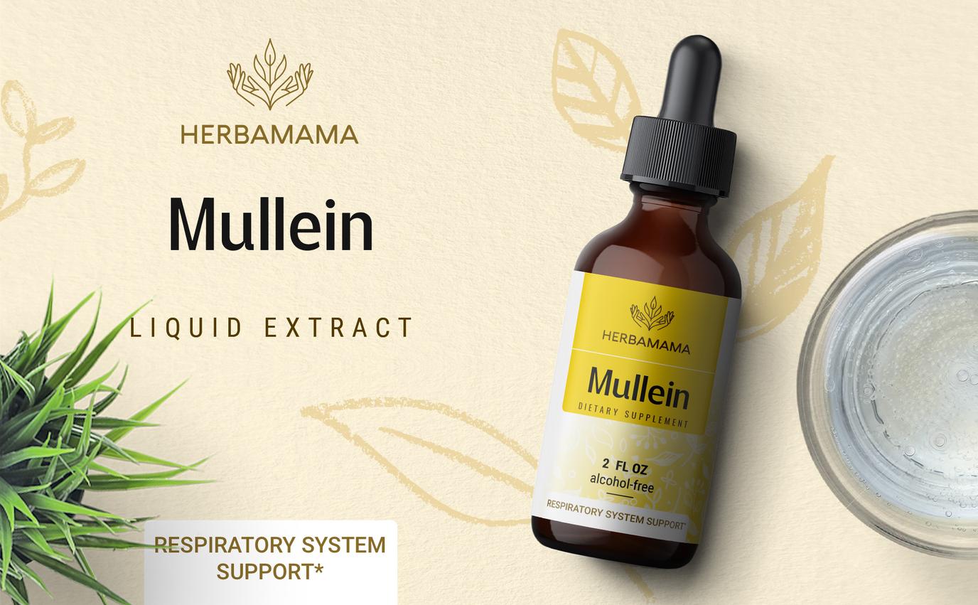 Mullein Liquid Extract - 2 Fl. Oz Bottle