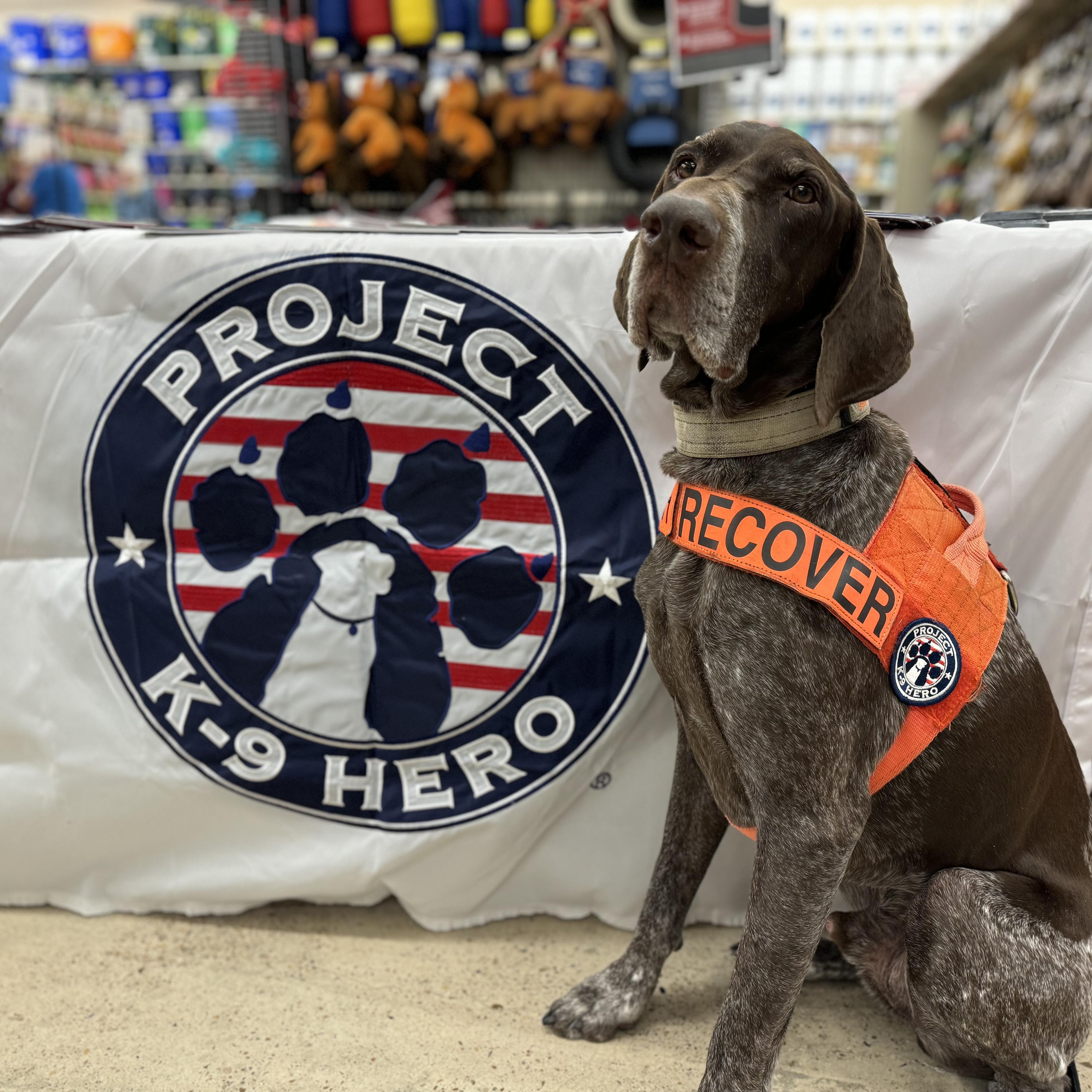 Project K-9 Hero at a School Fundraiser