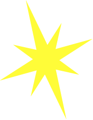 New World Wellness Star