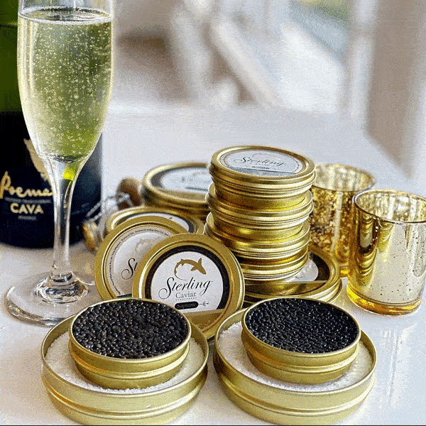 The finest American Caviar paired with a glass of champagne